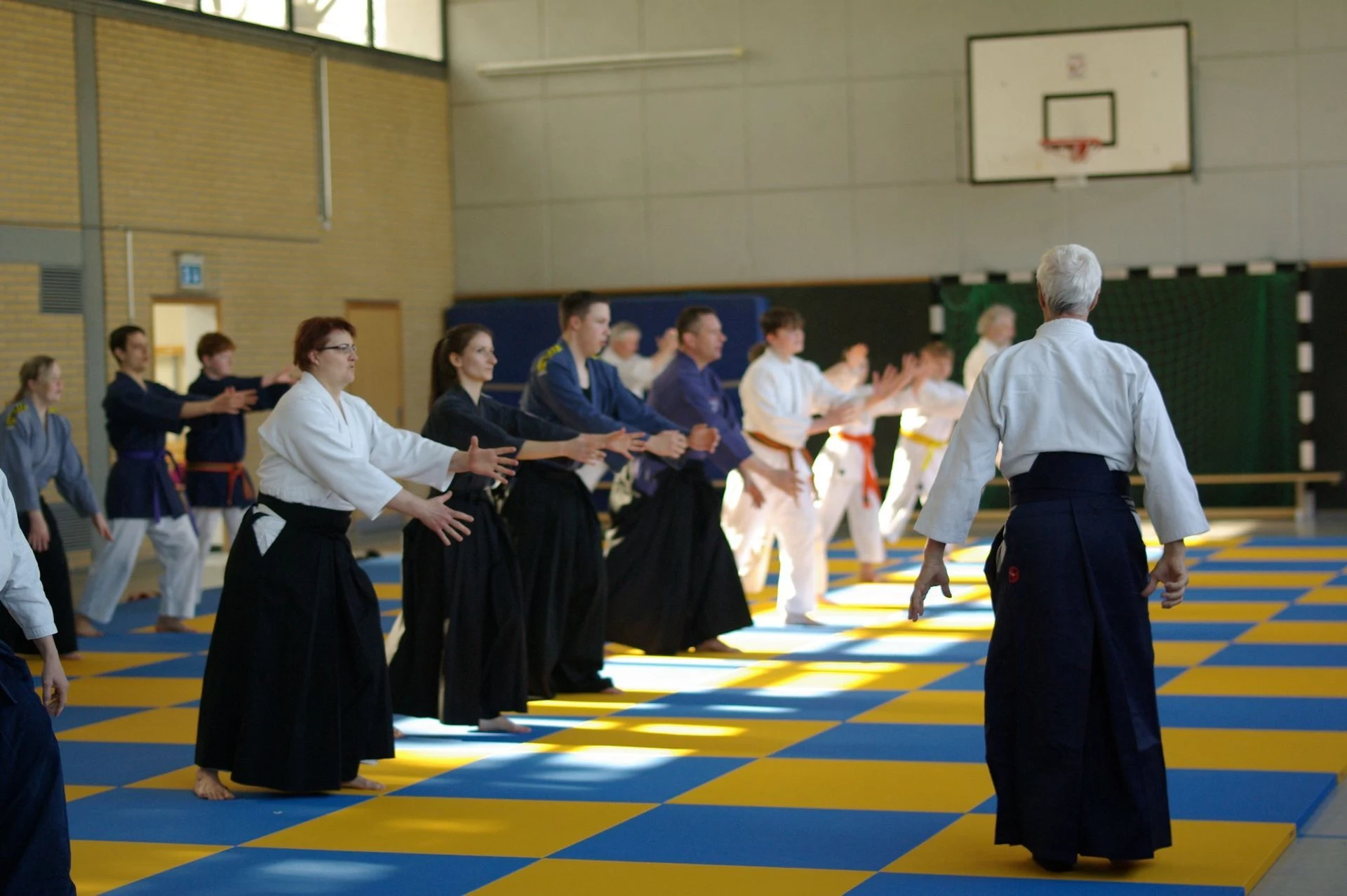 Aikido-Seminar mit Shihan Bodo Muri