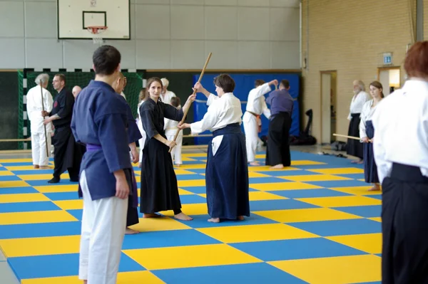 Aikido-Seminar mit Shihan Bodo Muri – Foto 10