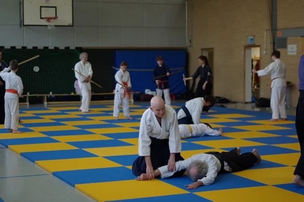 Aikido-Seminar mit Shihan Bodo Muri – Foto 11