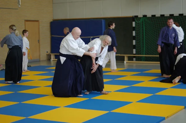 Aikido-Seminar mit Shihan Bodo Muri – Foto 13