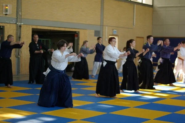 Aikido-Seminar mit Shihan Bodo Muri – Foto 14