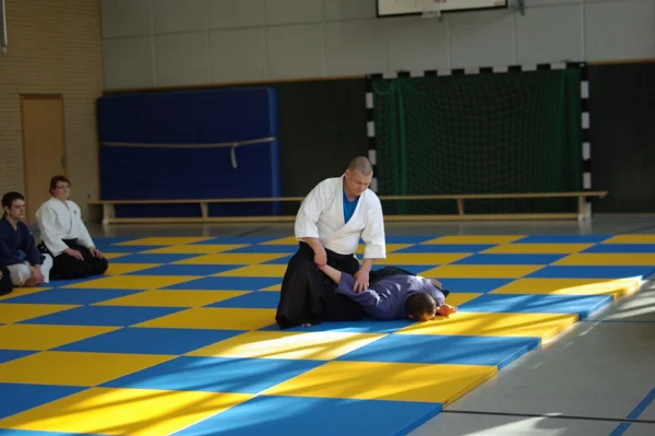 Aikido-Seminar mit Shihan Bodo Muri – Foto 16