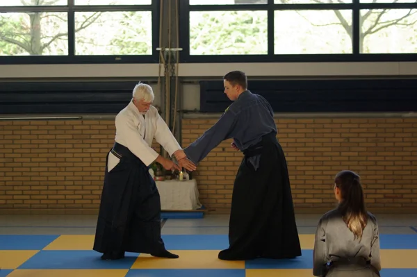 Aikido-Seminar mit Shihan Bodo Muri – Foto 18