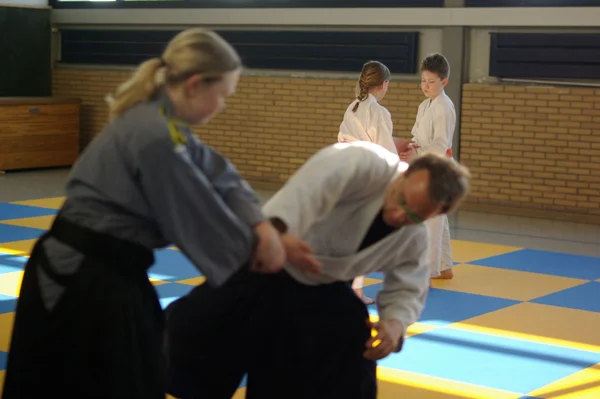 Aikido-Seminar mit Shihan Bodo Muri – Foto 20
