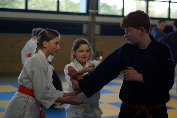 Aikido-Seminar mit Shihan Bodo Muri – Foto 25