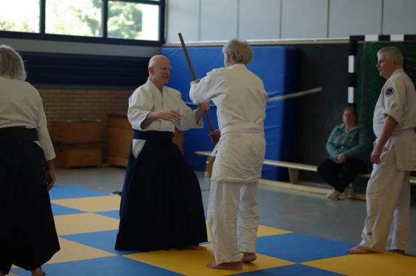 Aikido-Seminar mit Shihan Bodo Muri – Foto 4
