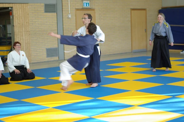Aikido-Seminar mit Shihan Bodo Muri – Foto 5