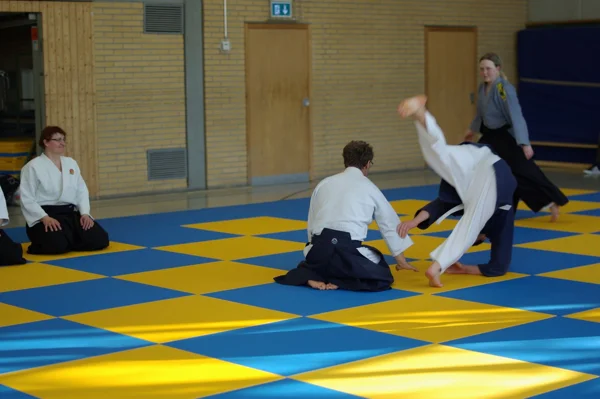 Aikido-Seminar mit Shihan Bodo Muri – Foto 6