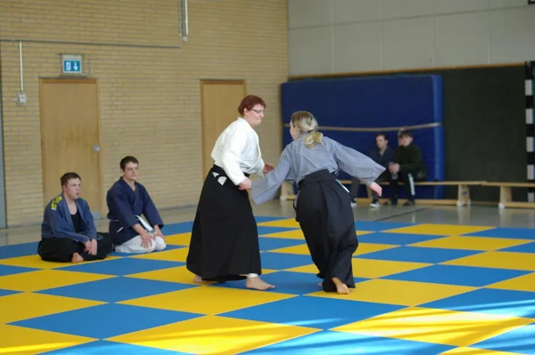 Aikido-Seminar mit Shihan Bodo Muri – Foto 8